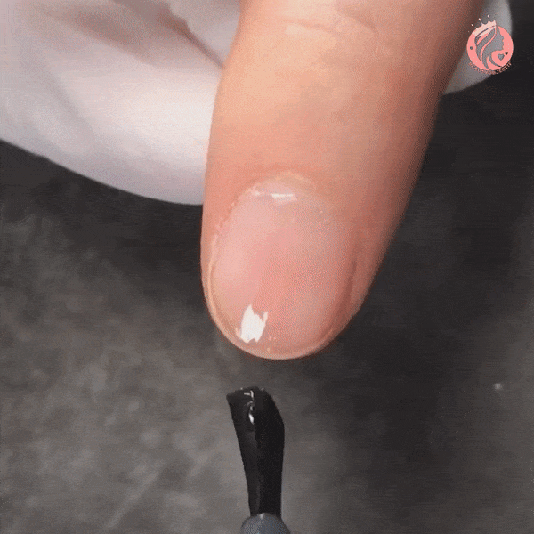 EXTENSION D'ONGLE EN FIBRE DE VERRE DE SOIE⎮ NAILS EXTENSIONS™